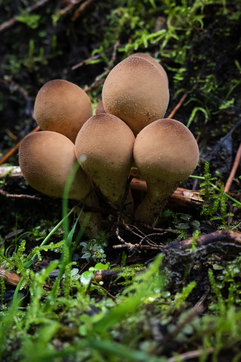 Stacks Image 1854